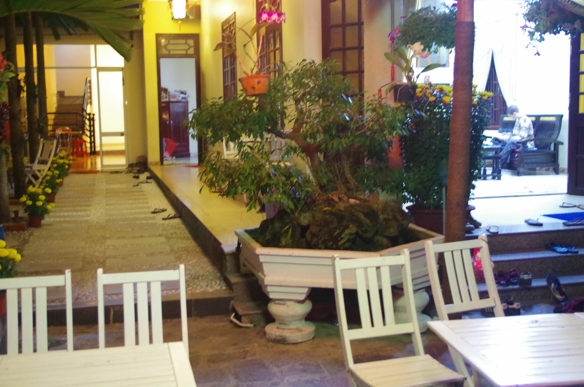 Mango Garden Hoi An Homestay מראה חיצוני תמונה